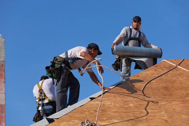 Best Roof Gutter Cleaning  in Newton, KS